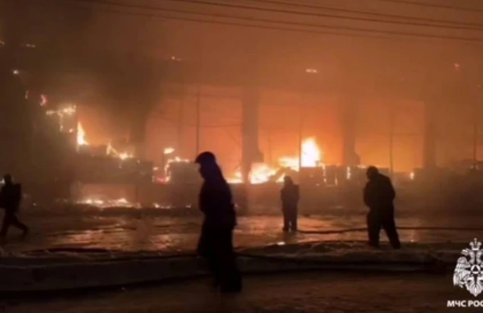 МЧС показала видео с места пожара на складе в Новосибирске. Фото: кадр из видео МЧС