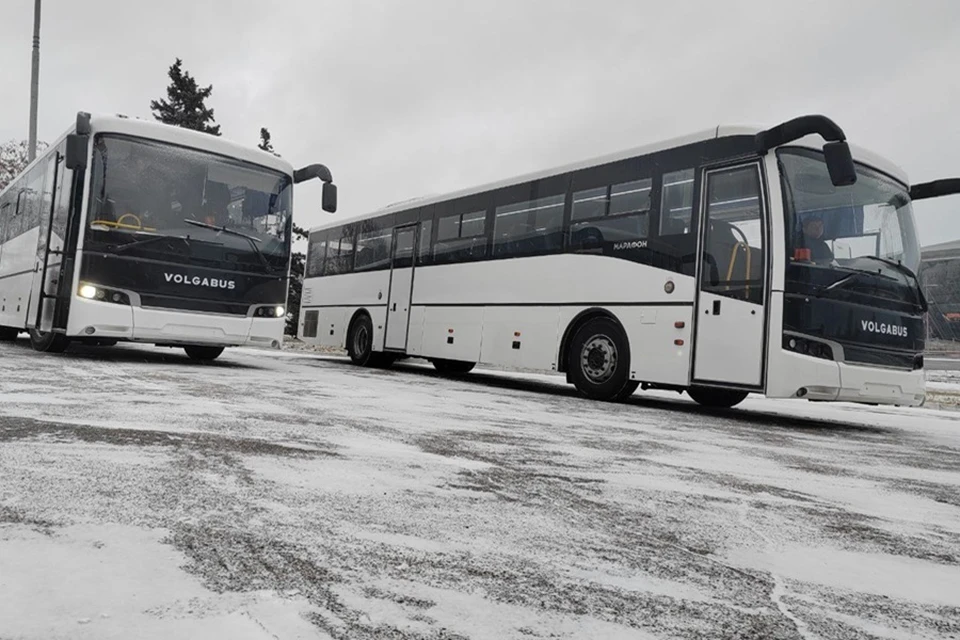 ДНР впервые получила два новых туристических автобуса. Фото: ТГ/Солнцев