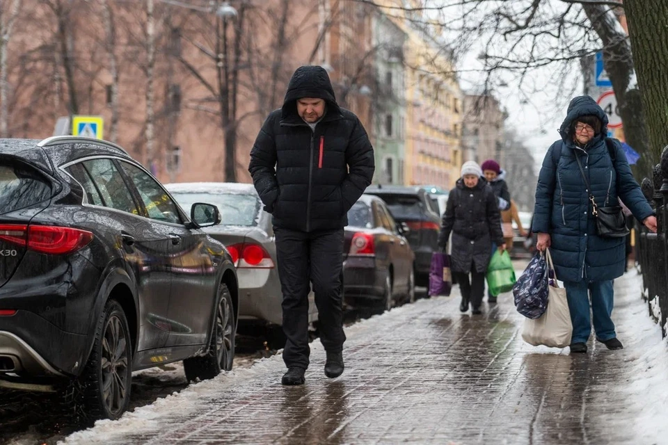 Гололед и ледяные дожди ожидаются в Петербурге 19 декабря.