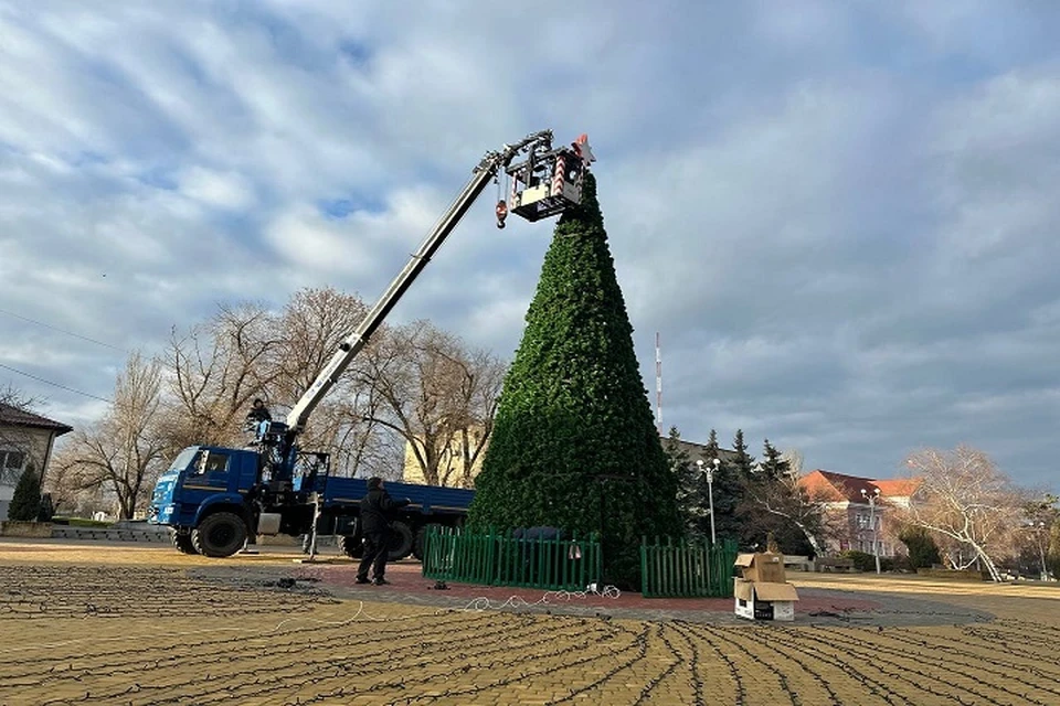 В Васильевке Запорожской области украсили новогоднюю елку. ФОТО: администрация Васильевского МО