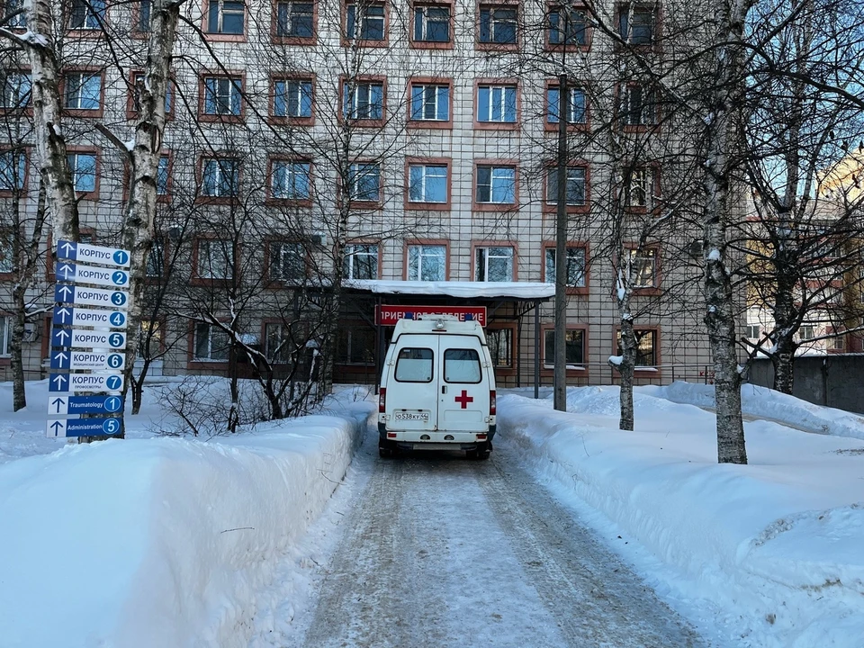 Фото: фотоархив портала КП в Костроме