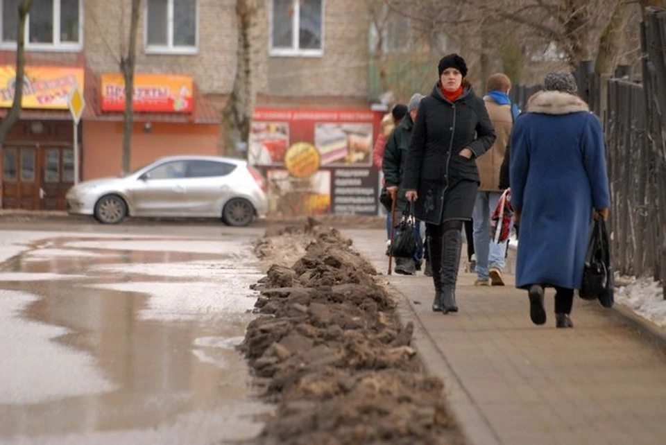 Зима без снега: прогноз погоды на 12 января в Тульской области