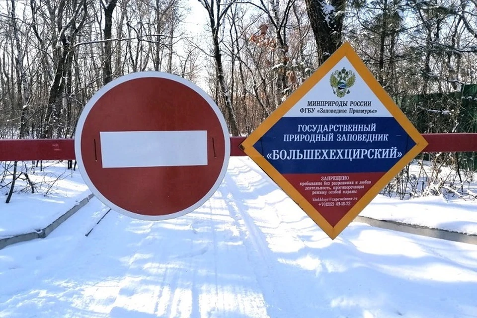 Впервые мысль об организации на хребте Хехцир заповедного участка была высказана в 1925 году.