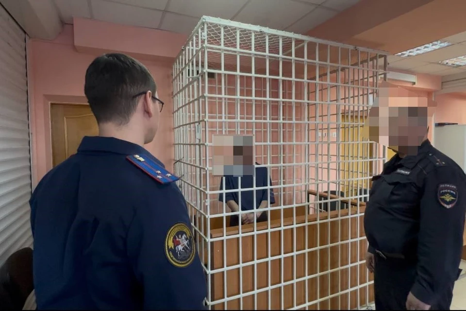 Мужчину отправили в СИЗО.