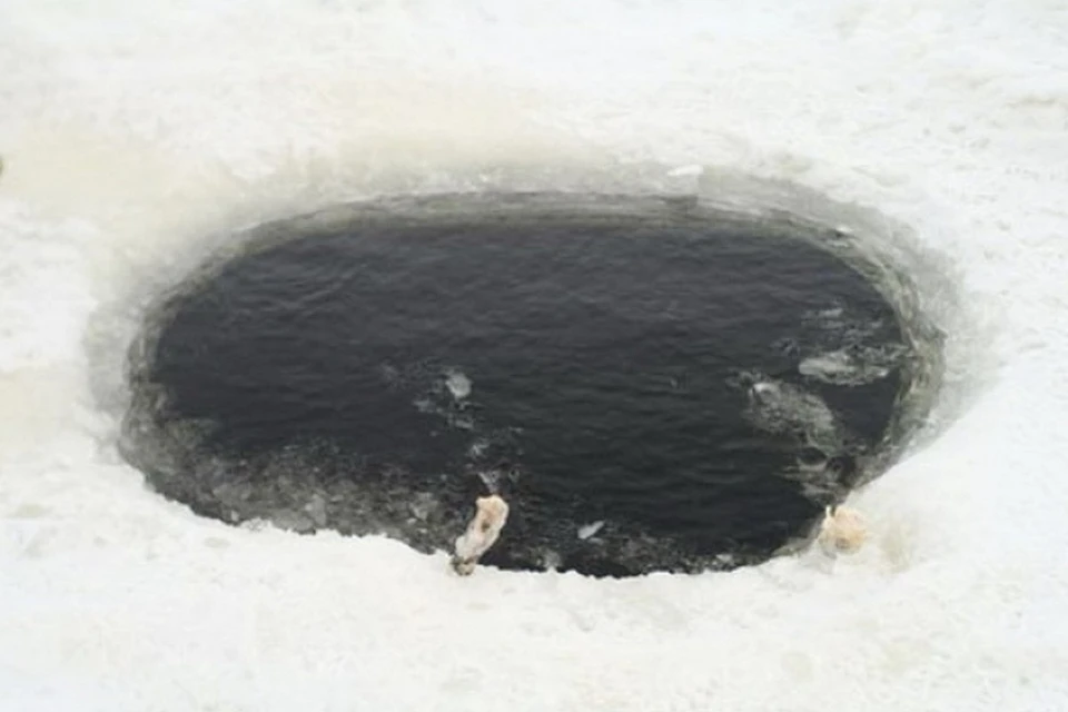 Тело мужчины пролежало под водой полмесяца. Фото: Служба спасения Якутии.