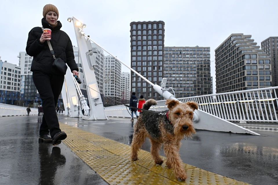 Аномальное тепло еще продержится в Москве неделю, но зима вернется