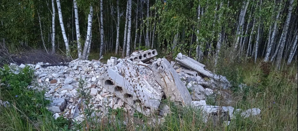 Более 3,5 млн рублей взыщут с нижегородца за ущерб почвам. Фото: Пресс-служба Межрегионального управления Росприроднадзора по Нижегородской области и Республике Мордовия.