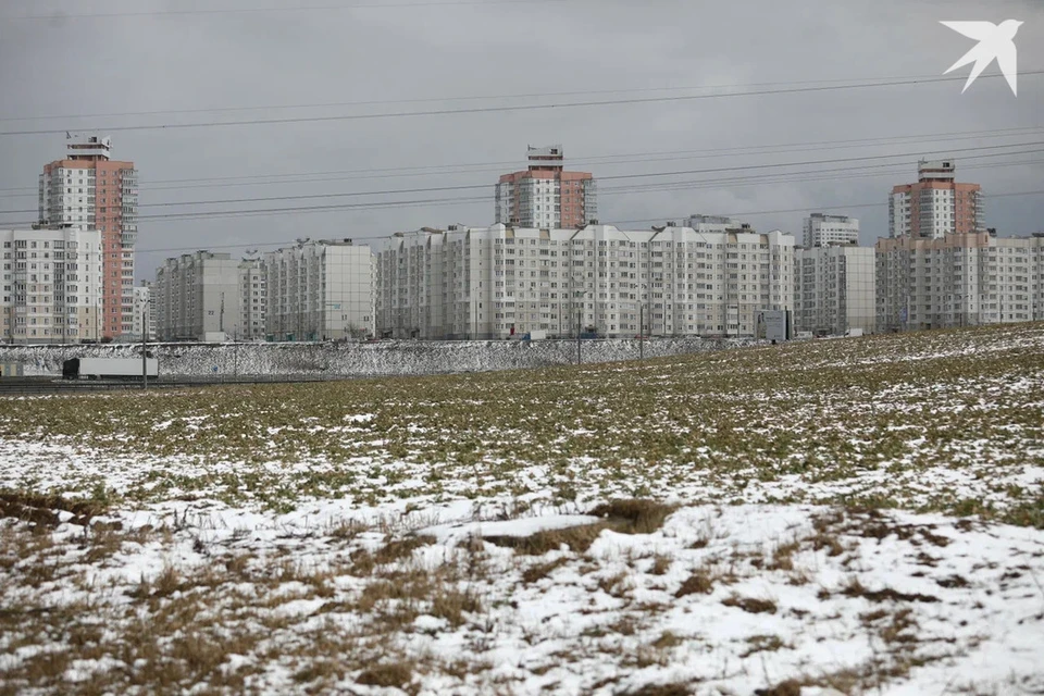 Синоптики рассказали о теплой погоде в Беларуси в воскресенье, 26 января. Снимок носит иллюстративный характер.