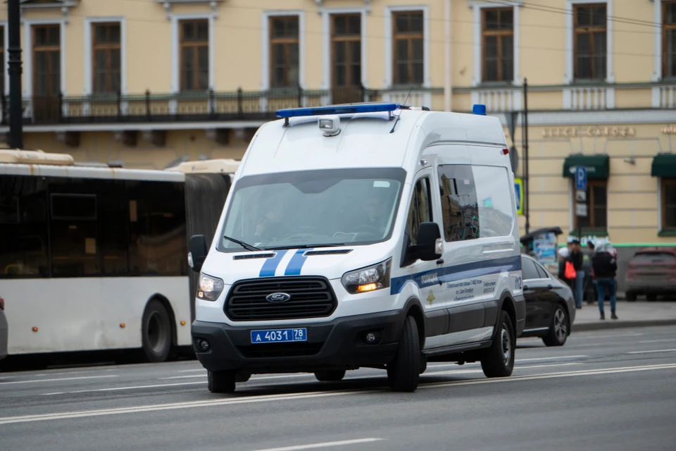 Подозреваемую задержали в Ленобласти.