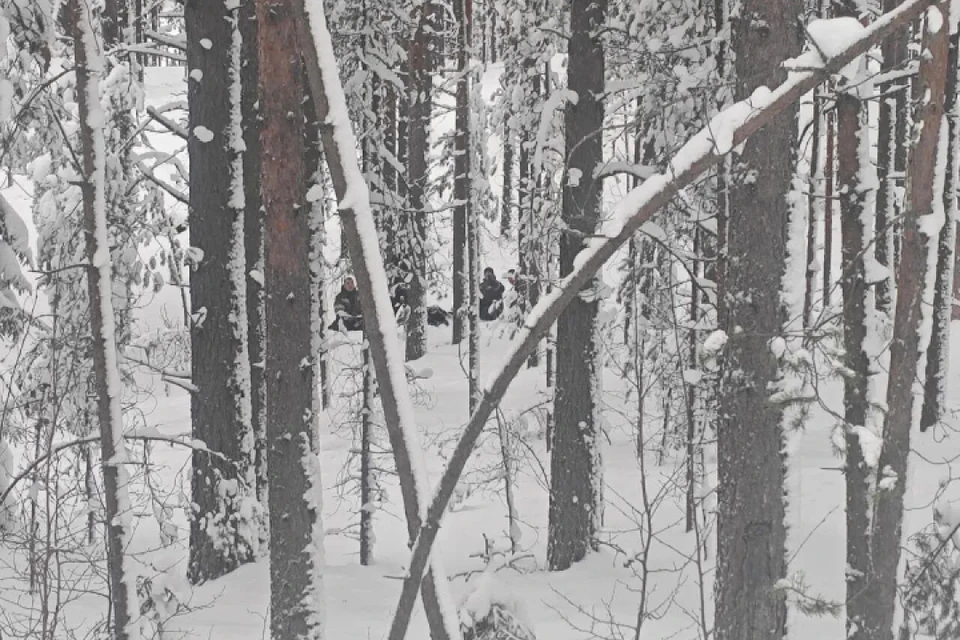 Еле живого мужчину нашли в лесу Приозерского района. Фото: Леноблпожспас.