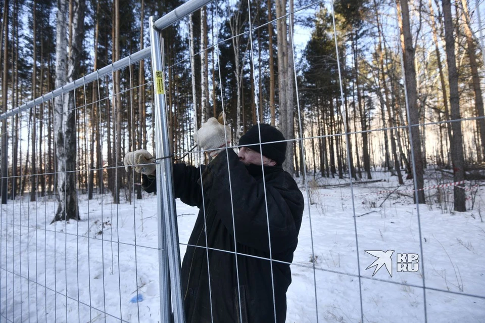 В Екатеринбурге огородили Березовую рощу