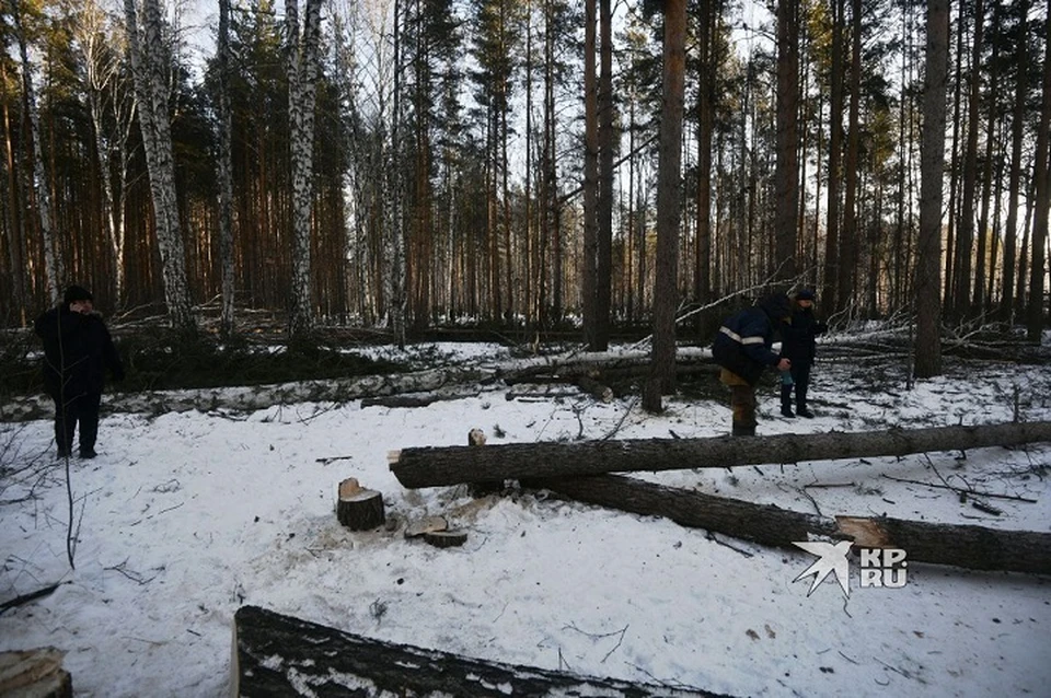 Застройщику объявлено предостережение