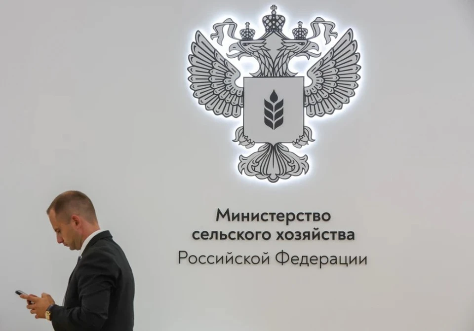 Крупные пищевые производители России призвали отказаться от обязательных ГОСТов