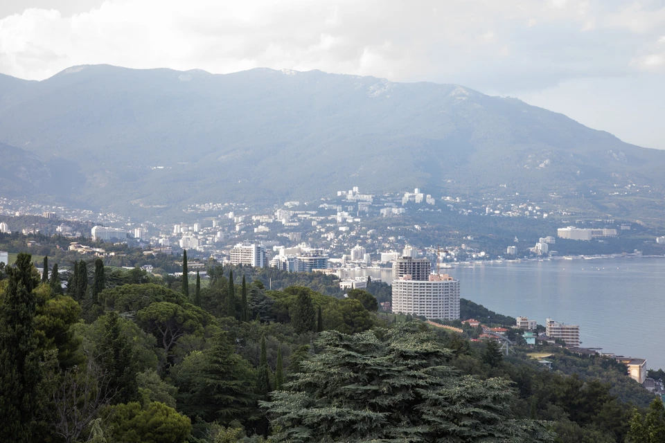 В Крыму арестованы земельные участки Блиновской.