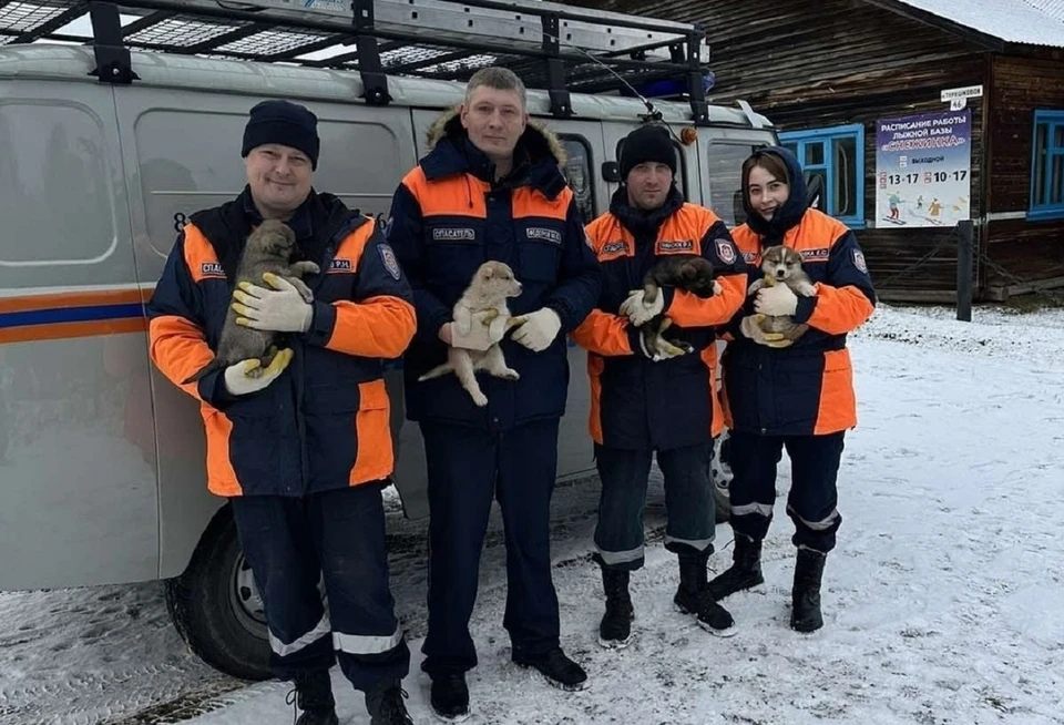 Спасённые в Богучанах щенята нашли хозяев. Фото: краевое Агентство по ГО и ЧС