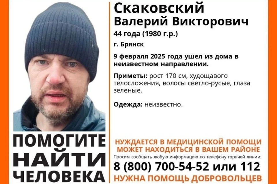 Фото: поисковый отряд "Лиза Алерт", ВКонтакте.