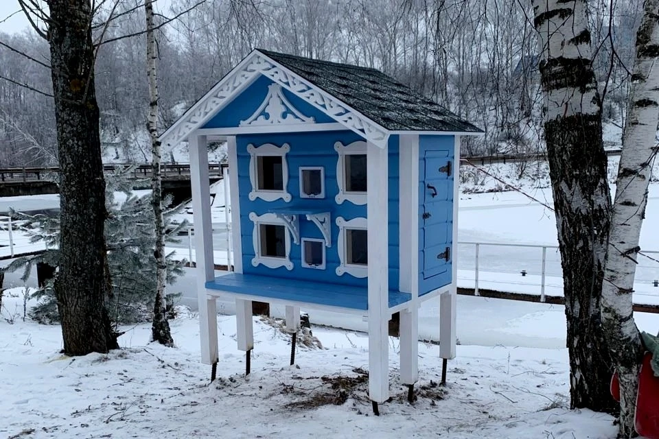 В Городце появился настоящий терем для бездомных кошек. Фото: Дмитрий Волков