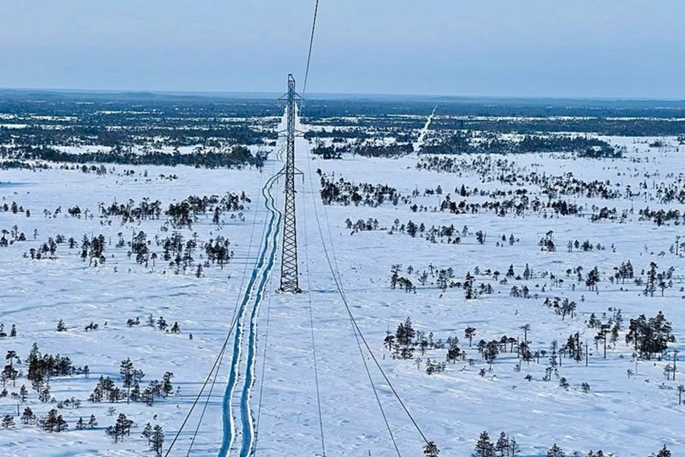 Фото: Денис Пыргарь