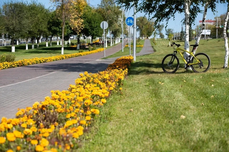 В Самарских парках высадят цветы