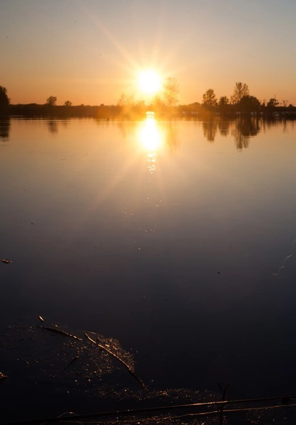 Фото предоставлено КП