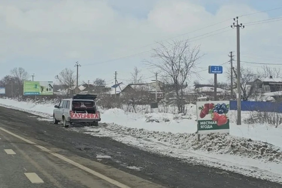 Вдоль трасс импортную клубнику могут выдавать за местную