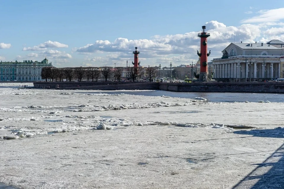 СПбМТСБ стала «Петербургской биржей».