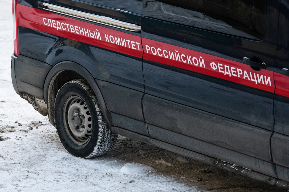 Расстался с женщиной, а затем вернулся и зарезал ее вместе с сыном: мужчина «психанул» из-за алиментов