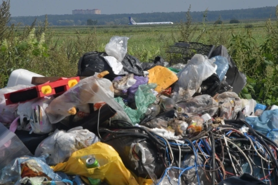 Крупную свалку рядом с Амурском уберут после прокурорской проверки