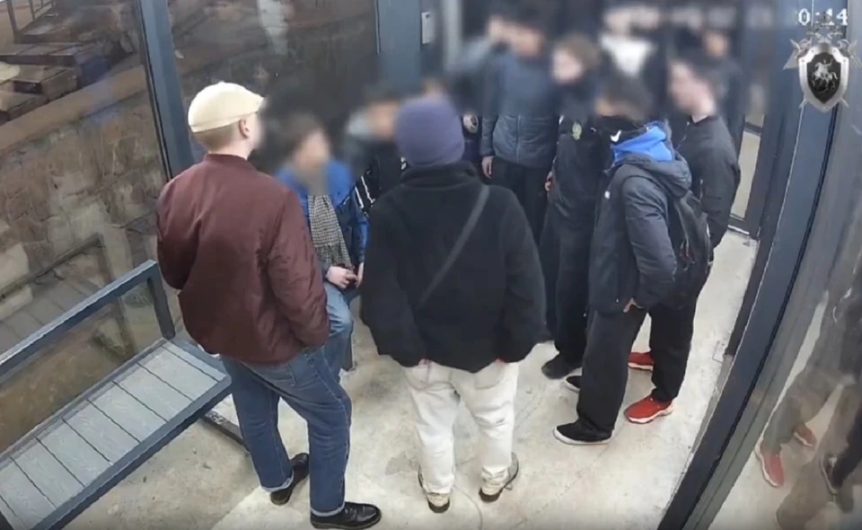 В Красноярске осудили подростков, которые избили и обстреляли сверстников. Скриншот: видео краевого СК