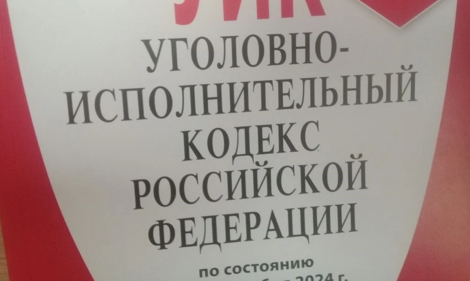 В соответствии со статьей 161 УК РФ («Грабеж») подозреваемому грозит до четырех лет тюрьмы.