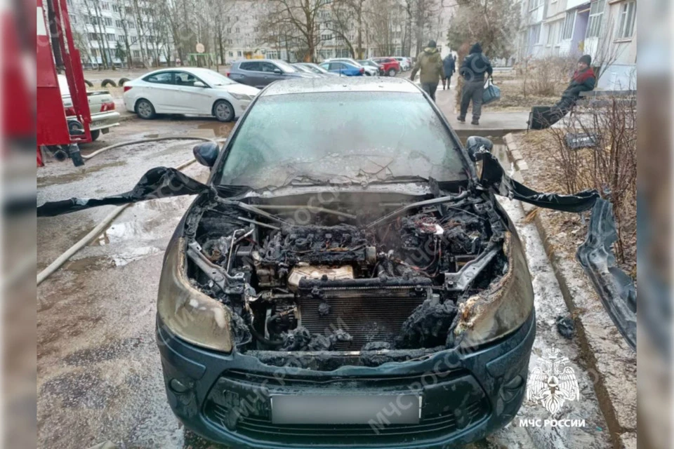 Сгоревший автомобиль. Фото: МЧС Тверской области.