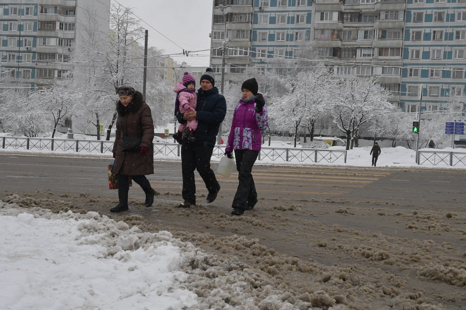 7 марта в Новосибирске потеплеет до +2 градусов.