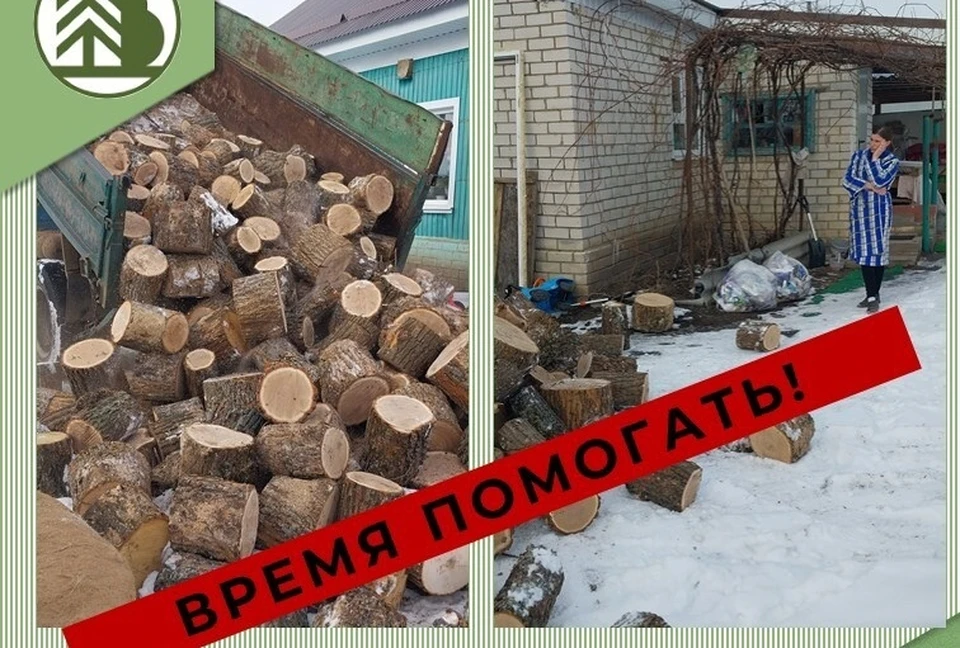 Фото регионального министерства лесного хозяйства