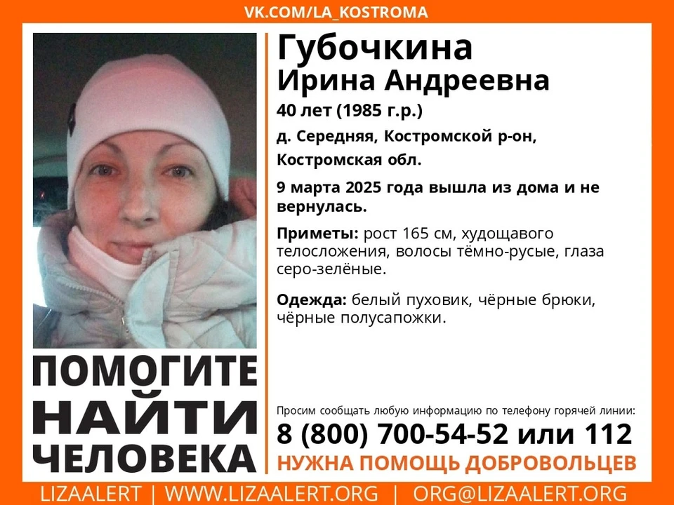 Фото: ДПСО "Лиза Алерт"