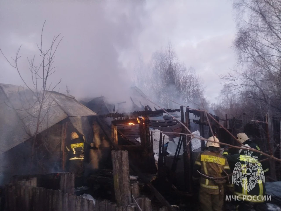 Мужчина погиб на пожаре в Борском округе