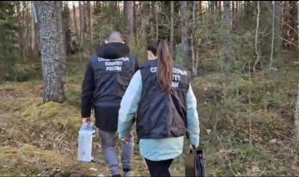 Фото: СУ СК РФ по Псковской области.