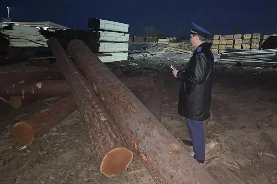 Мужчину приговорили к ограничению свободы. Фото: пресс-служба прокуратуры Приморья.