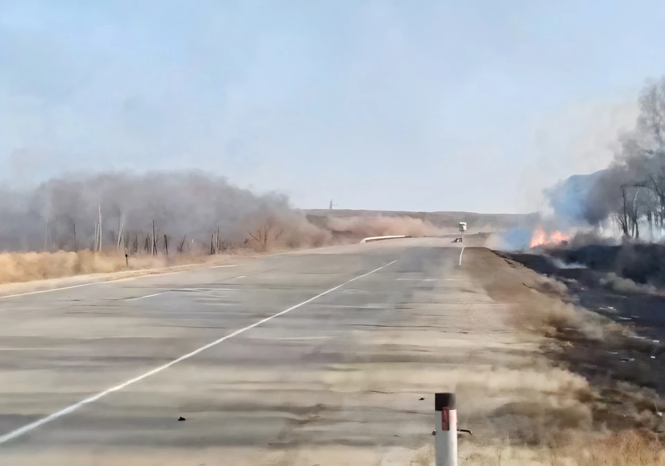 Автомобили столкнулись на задымленной от пожаров дороге. Фото: принтскрин видео Госавтоинспекции Приморского края.