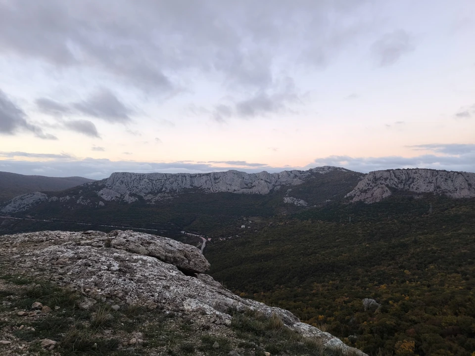 В Крыму опровергли фейк о размещении в санаториях беженцев из Сектора Газа