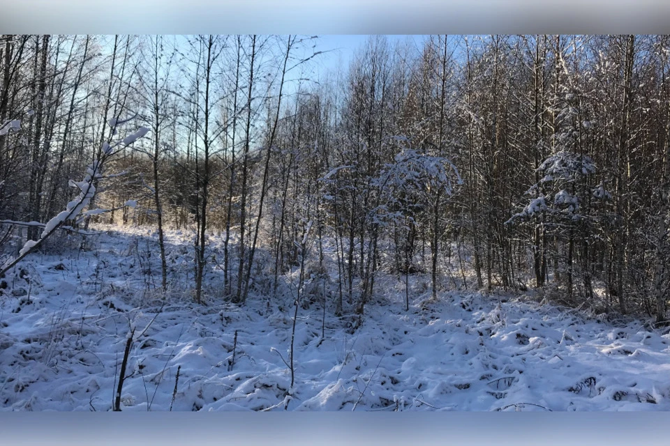 Заброшенные поля. Фото: vk.com/Управление РСХН по Тверской и Ярославской обл.