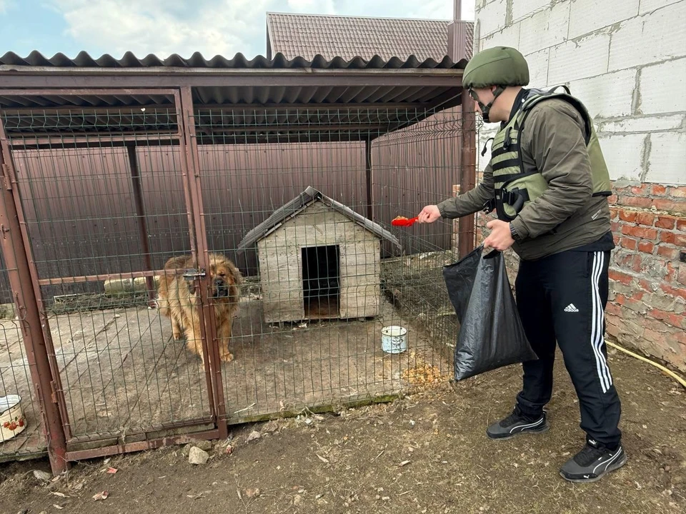 Фото: соцсети администрации Графовского с.п. Краснояружского района https://vk.com/club203218536