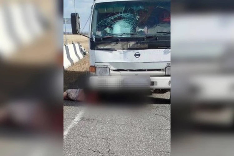 «Водитель не успел затормозить»: в Хакасии женщина попала под колеса грузовика на глазах у двоих детей