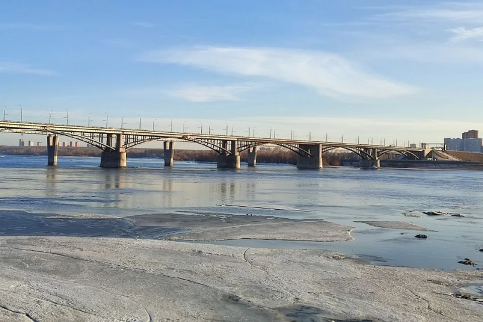 В Новосибирске спасли собаку, провалившуюся под лед Оби.