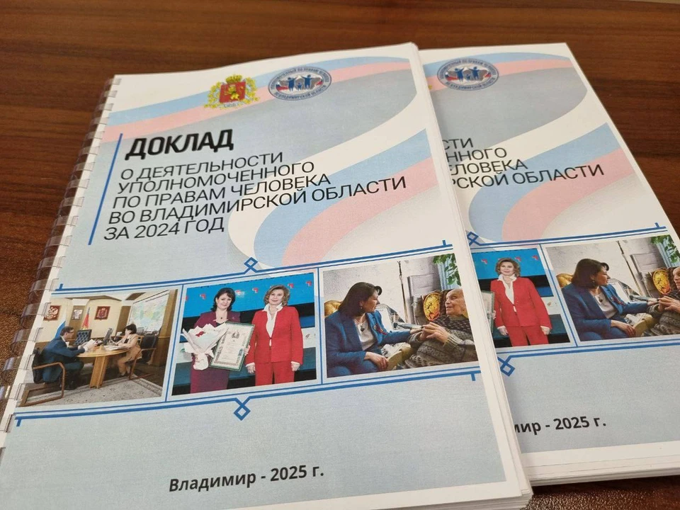 Фото: телеграм-канал уполномоченного по правам человека во Владимирской области Людмилы Романовой