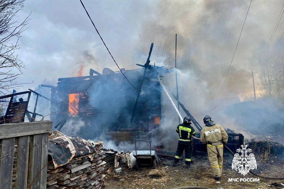 Пожар в деревне Ивановское. Фото: МЧС России