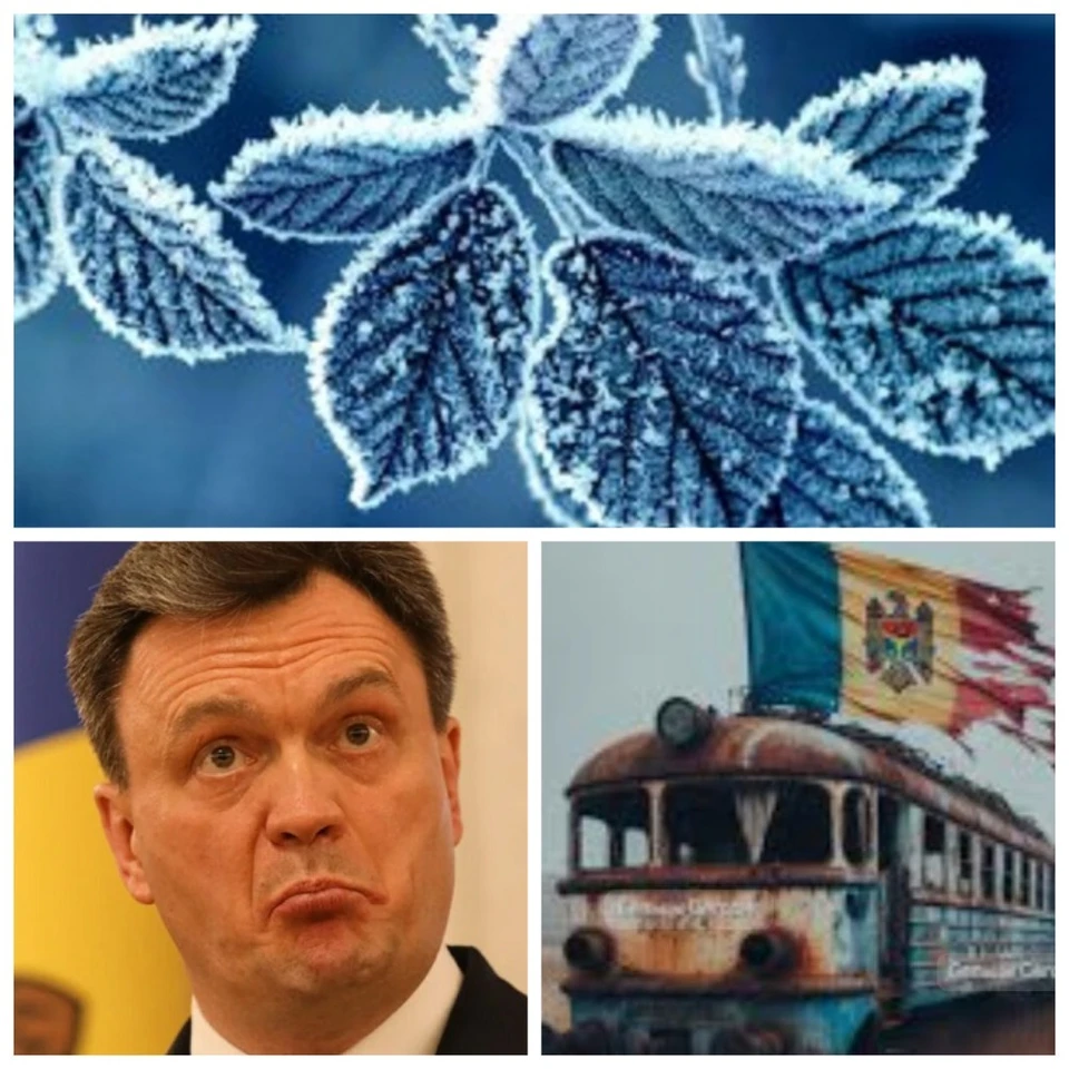 Главные новости в Молдове.