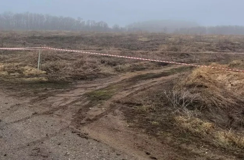 Фото: соцсети Анна Карабановой