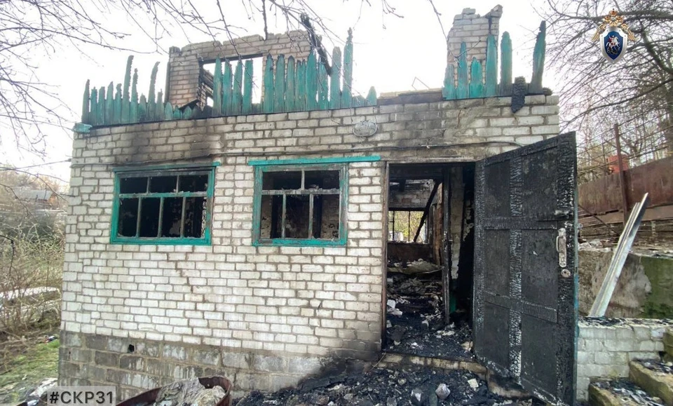 Фото пресс-службы регионального Следкома.