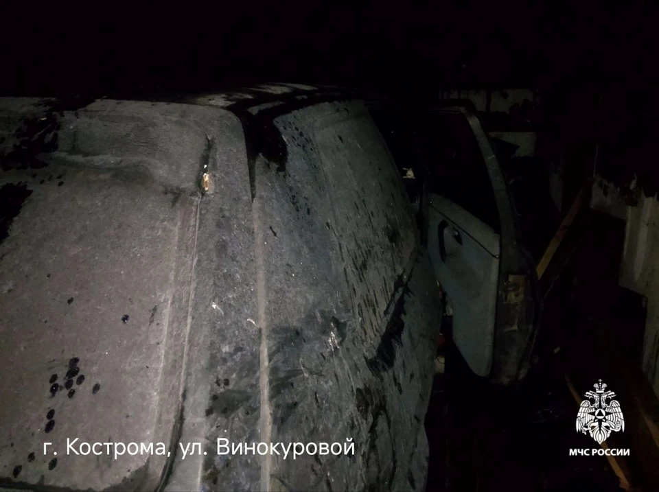 Фото: пресс-служба ГУ МЧС России по Костромской области