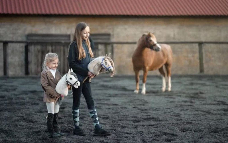 Изображая конные соревнования. Фото: hobby-horse.com